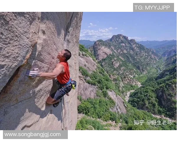 成都攀岩队实力强劲荣登最新攀岩实力TOP10榜首