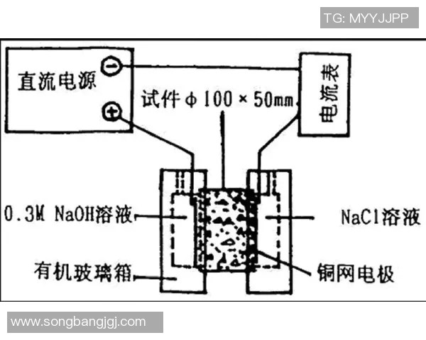 武汉羽毛球队边路渗透战术分析及其对比赛结果的影响探讨 武汉羽毛球队边路渗透战术分析及其对比赛结果的影响探讨